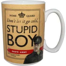 Dad's Army Mug - Stupid Boy