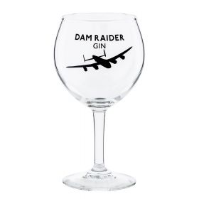 Dam Raider Gin Glass