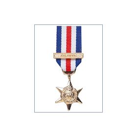 Mini Medal France &amp; Germany Star