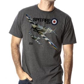 Spitfire And Roundel Grey T-Shirt